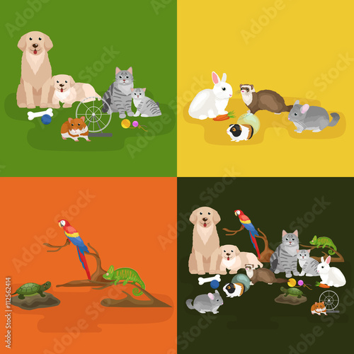 Home pets set, cat dog parrot goldfish hamster, domesticated animals