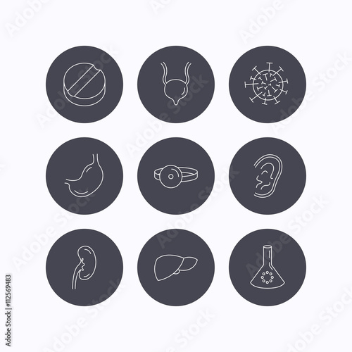 Virus, tablet and stomach organ icons.