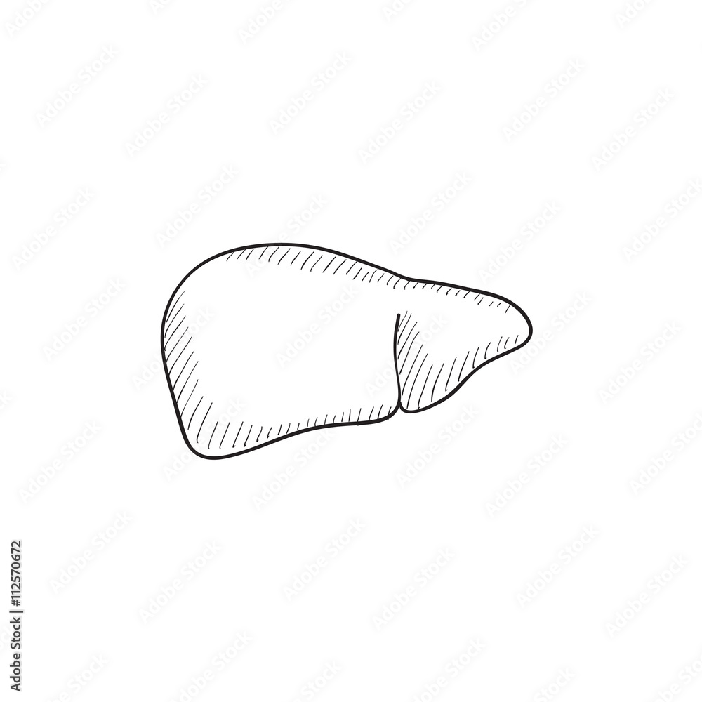 Liver Doodle: Over 1,637 Royalty-Free Licensable Stock Illustrations &  Drawings | Shutterstock