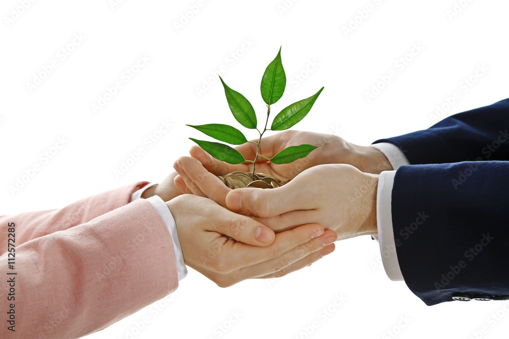 Hands with plant sprouting from a handful of coins on white background Hands with plant sprouting from a handful of coins on white background