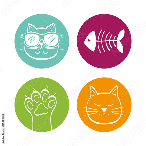 cat design. animal concept. flat illustration , vector