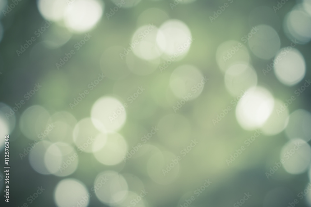 Fototapeta premium green color light background