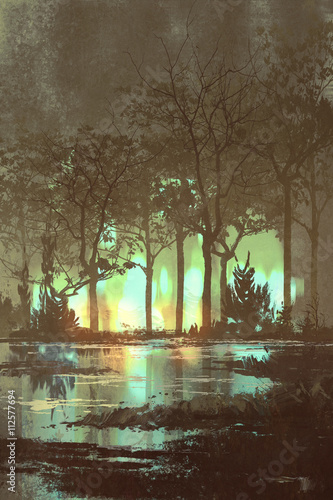 mysterious dark forest with mystic light at night illustration