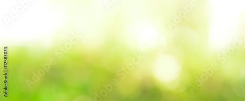 Abstract light green bokeh panoramic header background