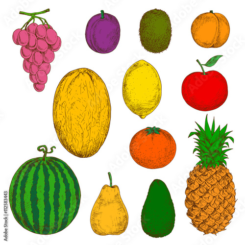 Fresh and juicy fruits for food and drinks design