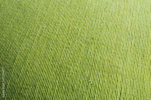 Textured Green Material