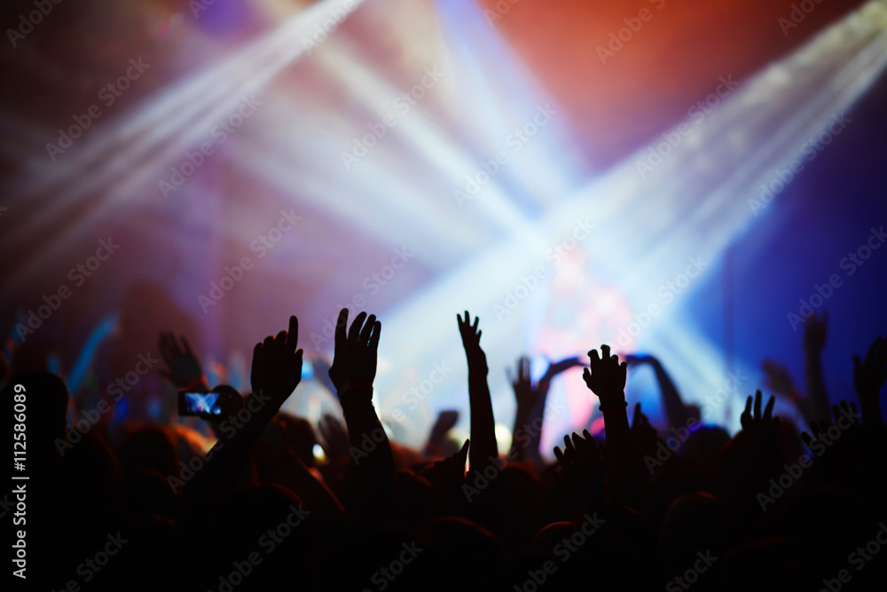 Fans at concert