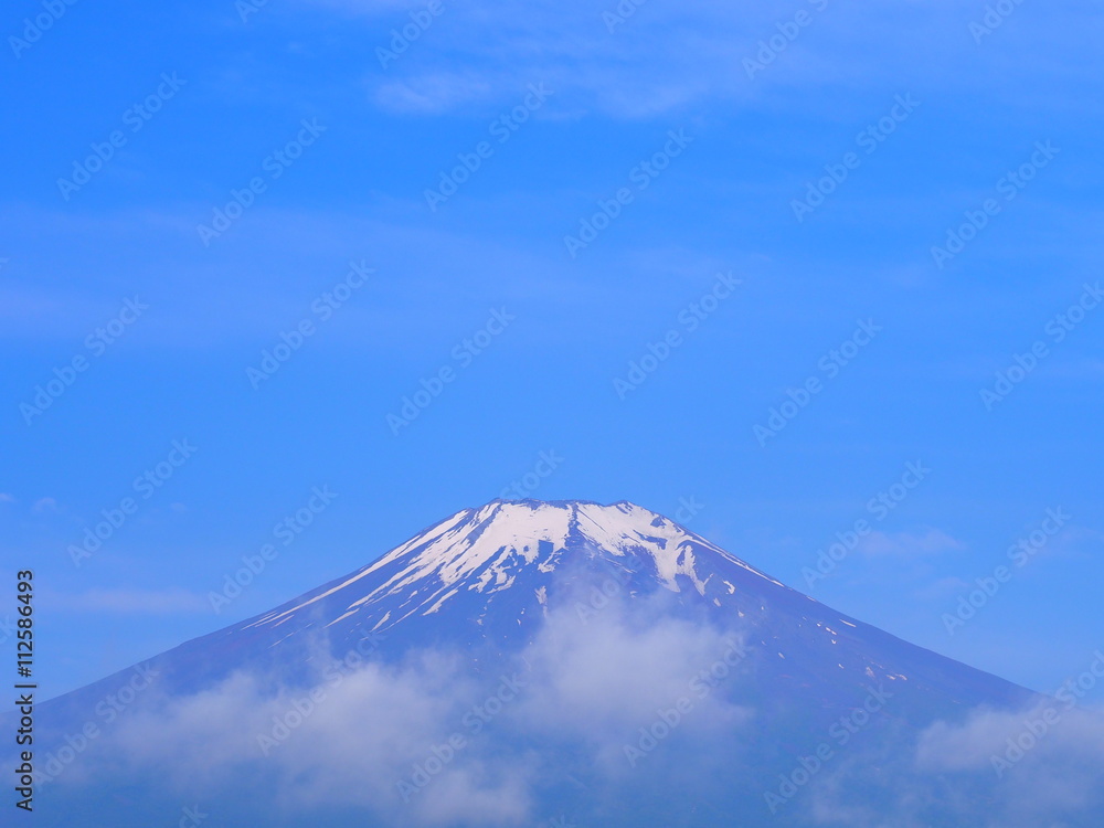青富士　富士山
