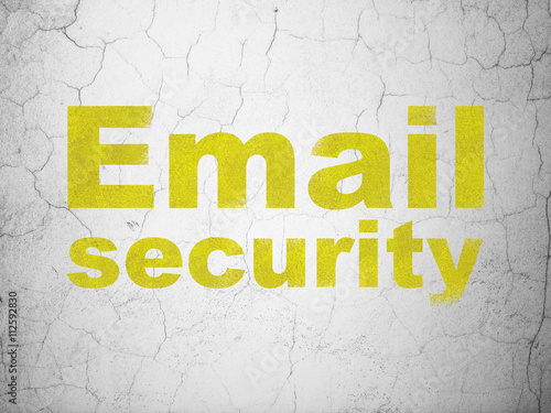 Security concept: Email Security on wall background