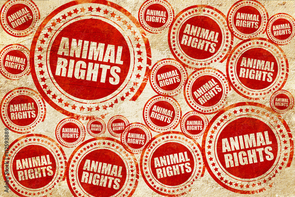 animal rights, red stamp on a grunge paper texture