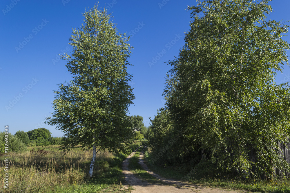 Summer solar rural landscape with sky and floor Summer solar rural landscape with sky and floor