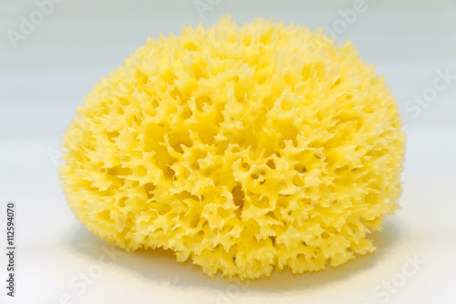 The loofah yellow color from natural plant from the seabed