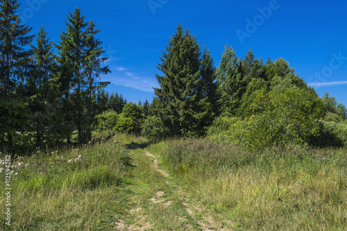 Summer solar rural landscape with sky and floor