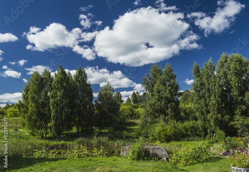 Summer solar landscape , pond and blue sky © fotografermen