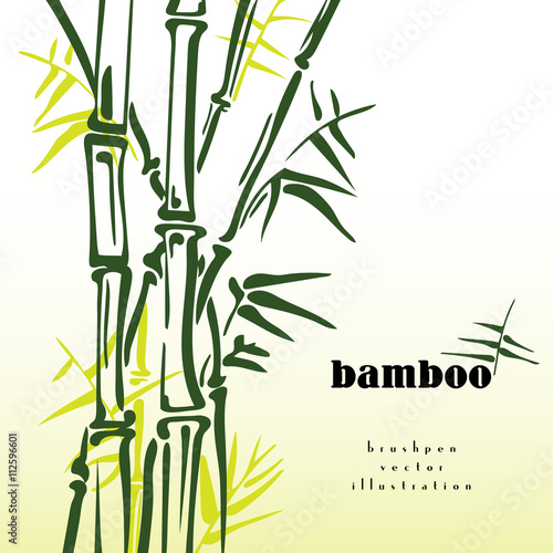 Green bamboo stems vector ink pen painting style. Simple bamboo illustration on white background. Bamboo bush. Bamboo leaves. Freshness in spring.