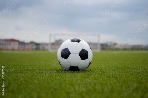 soccer ball on the green lawn near the gate of the gate © StockBox