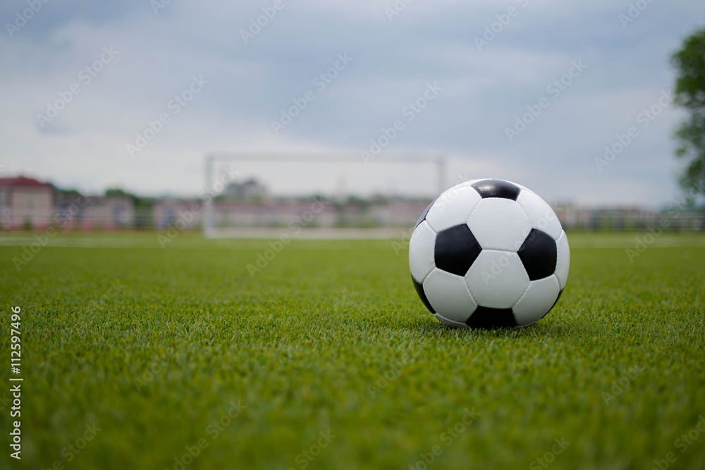 Obraz premium soccer ball on the green lawn near the gate of the gate