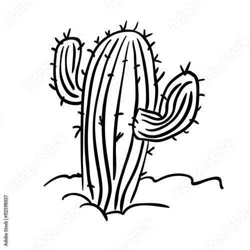 black and white cactus