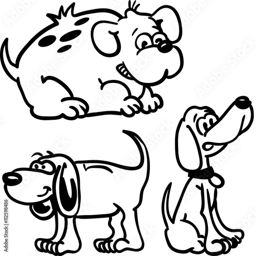 black and white dogs