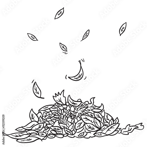 black and white leaves