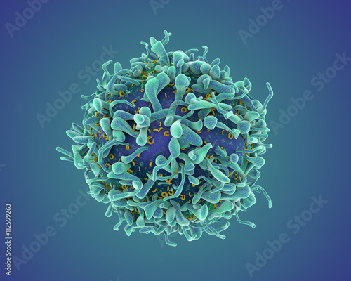 Single T-cell illustration