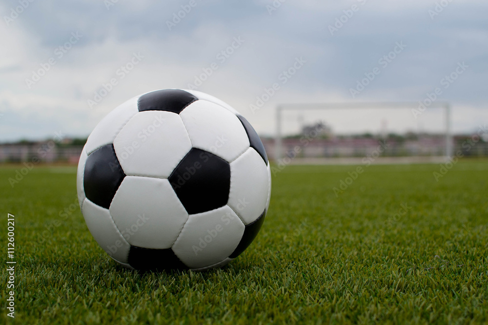 Fototapeta premium soccer ball on the green lawn near the gate of the gate