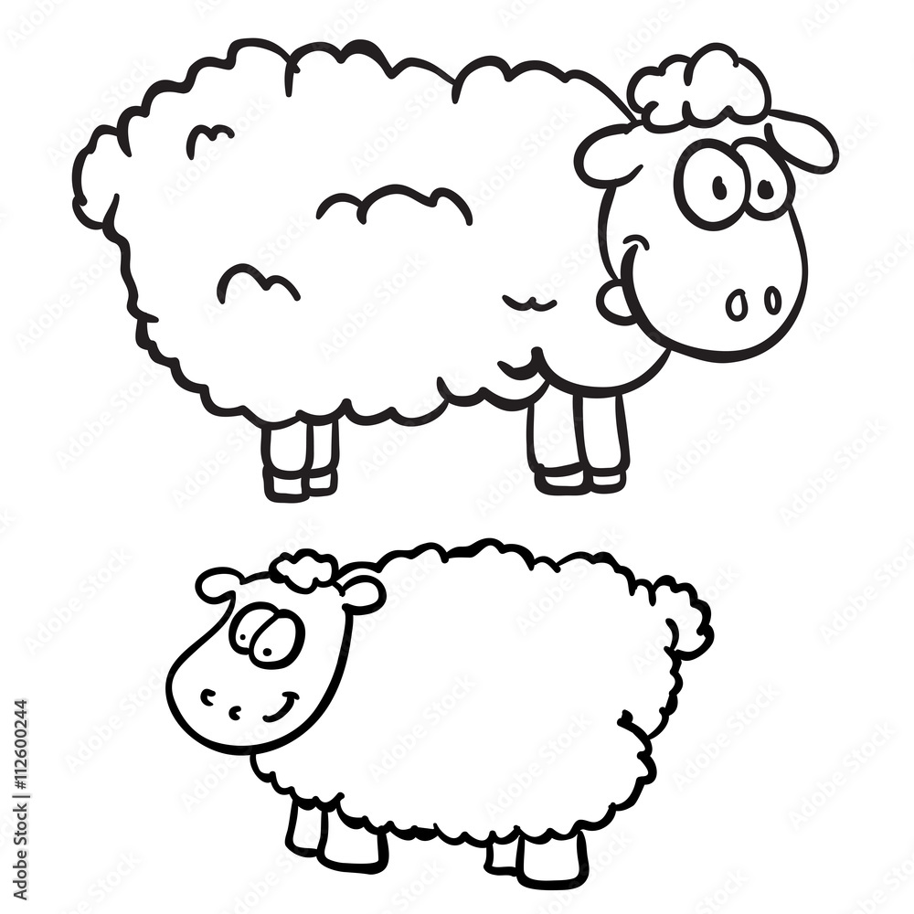Fototapeta premium black and white two sheep