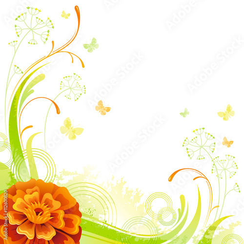 Floral summer background with orange marigold flower  leafs  grass and grunge elements  copy space for your text