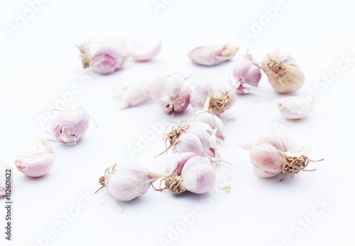 Garlic isolated on white background