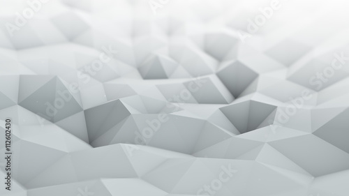 White polygonal surface wav...
