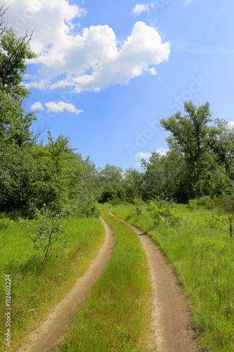 dirt road in steppe