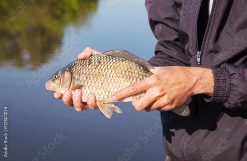Fototapeta Naklejka Na Ścianę i Meble -  fisherman holding carp