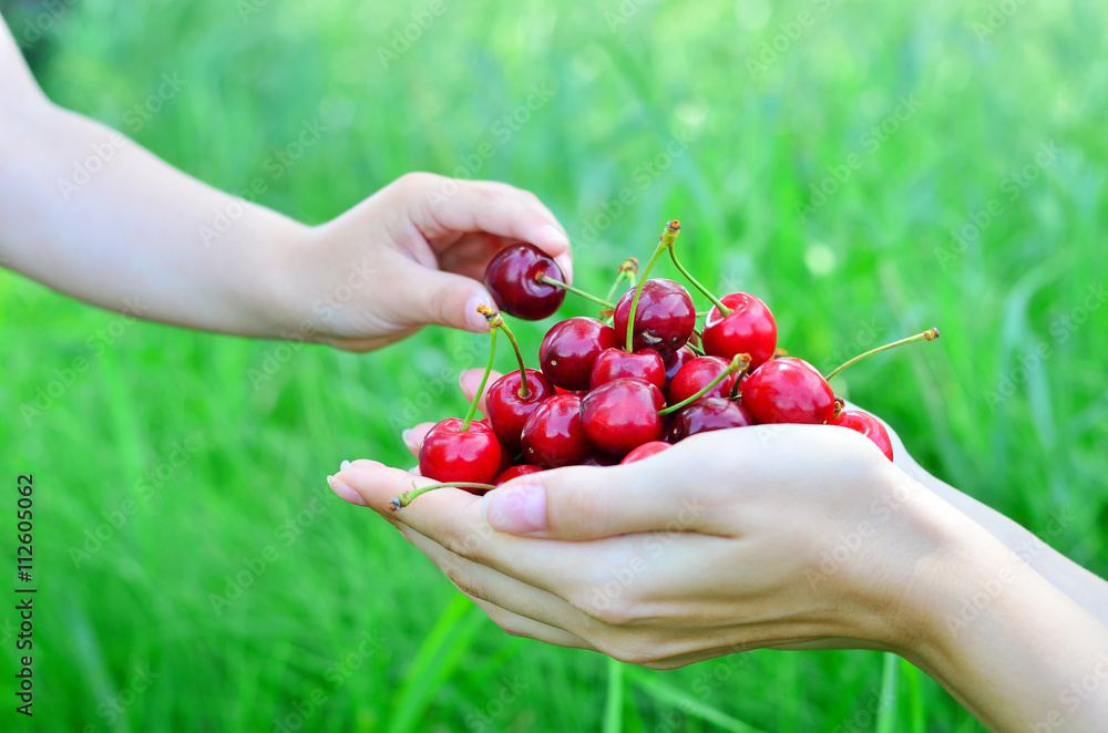 The child takes food from the mother's hands. The child takes the berries from mother's hand on nature background The child takes food from the mother's hands. The child takes the berries from mother's hand on nature background
