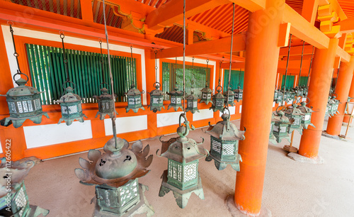 Bronze lanterns hanging in the grounds of Kasuga-Taisha Shrine,