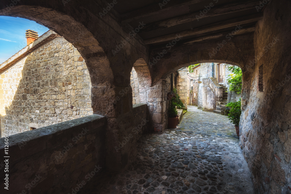 Green corners of old abandoned Tuscan town on a hill. Green corners of old abandoned Tuscan town on a hill.
