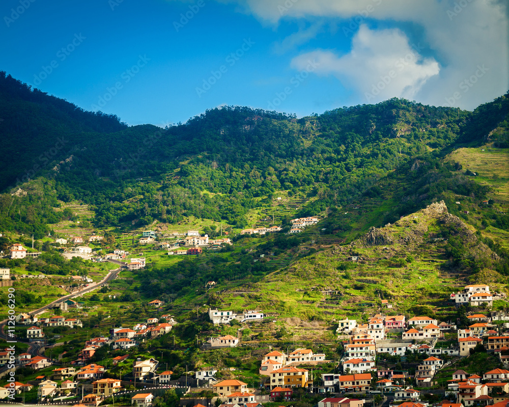 small houses in the Funchal's suburb