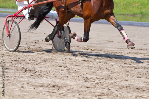 Rider on a horse race