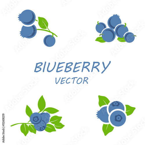 Vector flat blueberry icons set