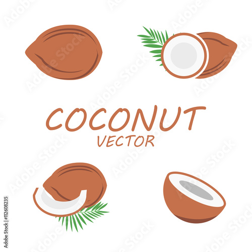 Vector flat coconut icons set