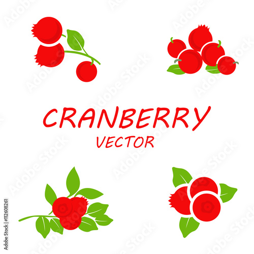 Vector flat cranberry icons set