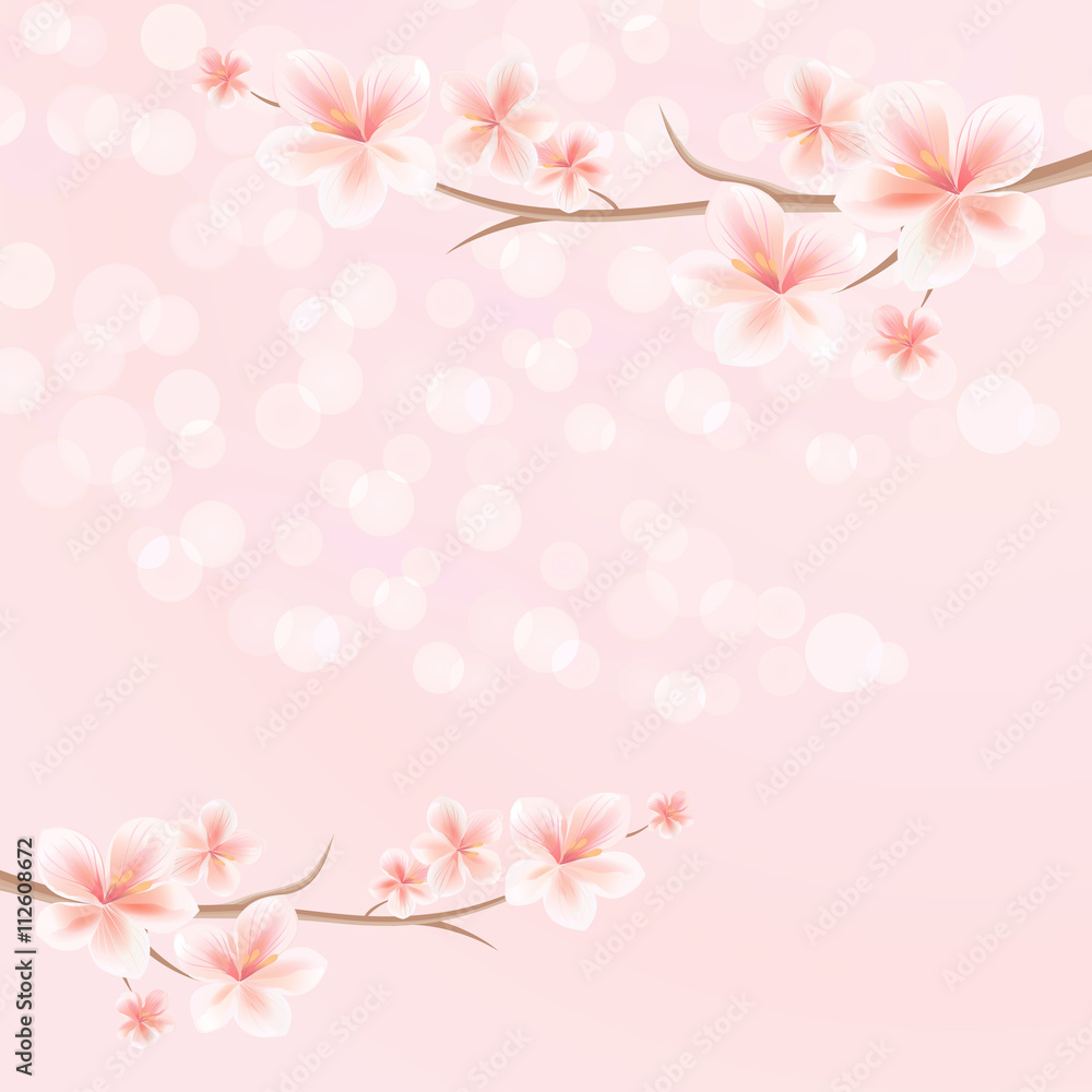 Flowers background. Flowers design. Vector abstract illustration. Sakura blossoms. Branch of sakura with flowers. Cherry blossom branch on pink. Vector