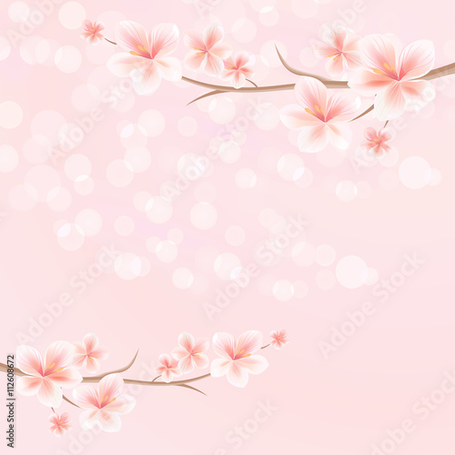 Flowers background. Flowers design. Vector abstract illustration. Sakura blossoms. Branch of sakura with flowers. Cherry blossom branch on pink. Vector