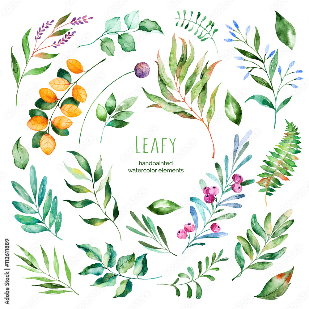 Obraz Kolekcja Leafy.22 Ręcznie malowane akwarele kwiatowymi elementami. Liście akwareli, gałęzie, jagody, liście. Idealne dla Ciebie unikalne projekty, szablon, zaproszenia ślubne, kartki okolicznościowe, grafika, cytaty, plakat