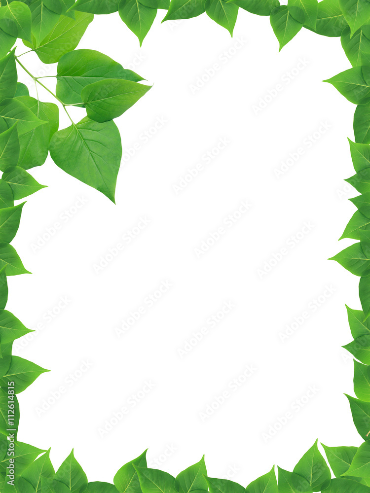 Green Leaves Frame Green Leaves Frame