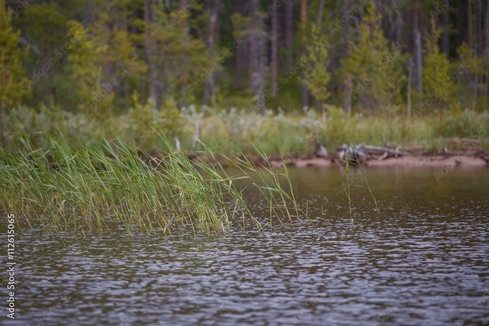 Portrait of a beautiful nature in Russia landscape Portrait of a beautiful nature in Russia landscape