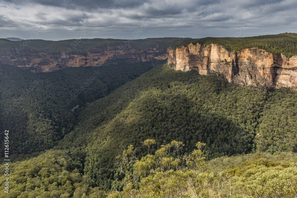 View of the Blue Mountains National Park NSW, Australia.