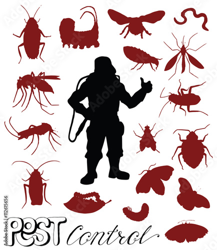 Set with silhouettes of insects and pest control man on white