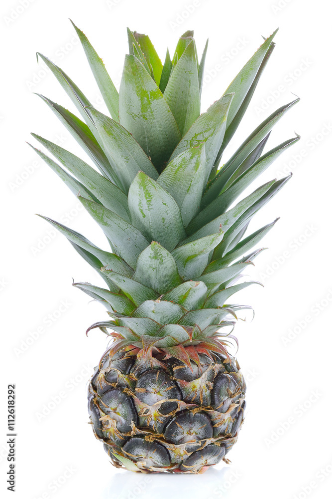 Pineapple isolated on white background. Pineapple isolated on white background.