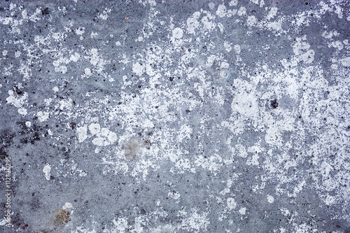 Grey concrete surface © rootstocks