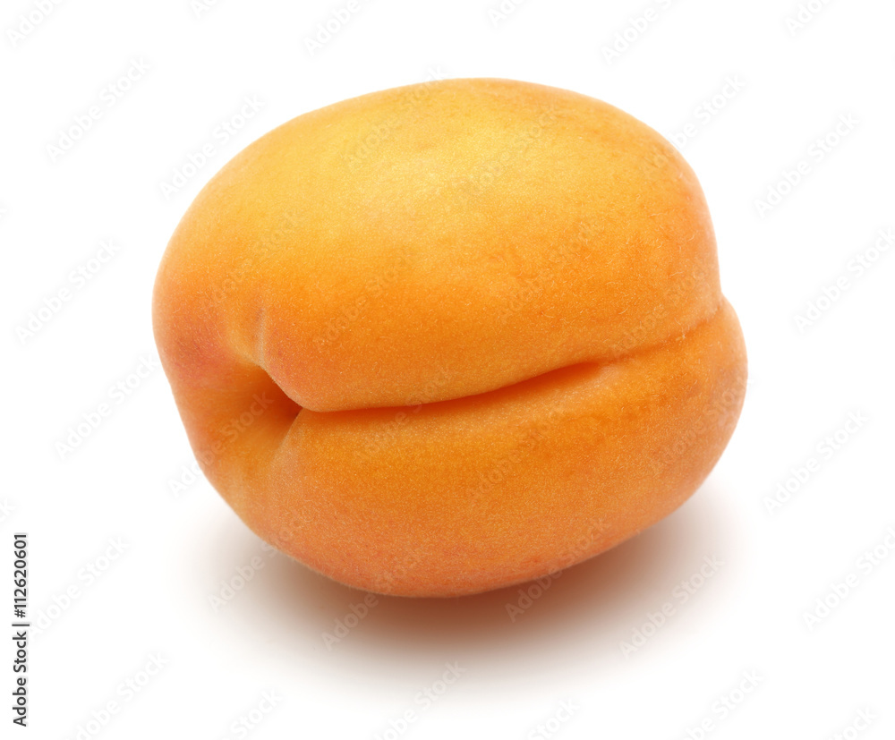 Apricot Apricot